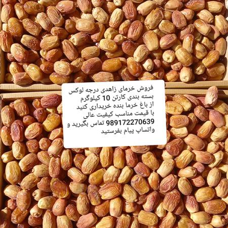 مرکز پخش خرمای زاهدی دونم گوشتی فارس